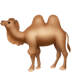 :camel: :camel:
