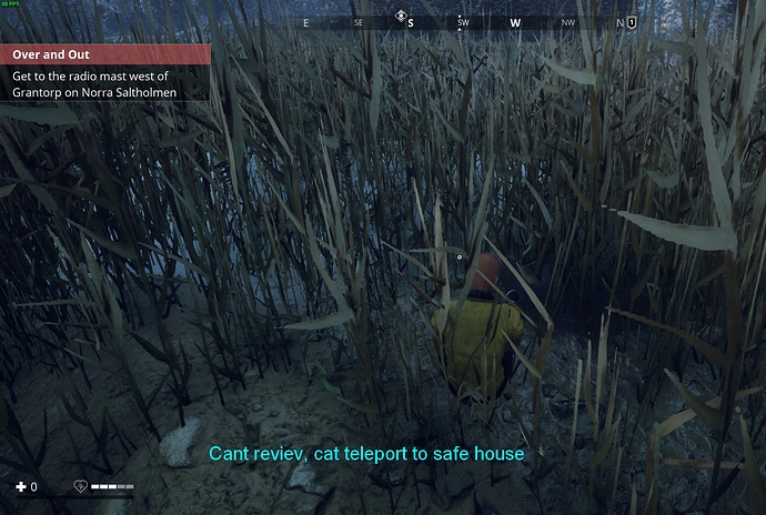 bug