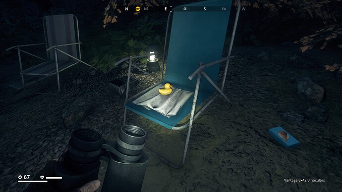 3. Duck on a beach chair