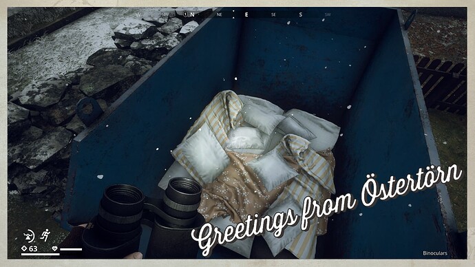 Container with pillows