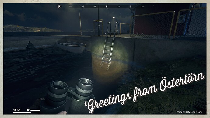 _A get out of the water ladder