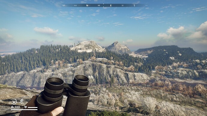 mountain view